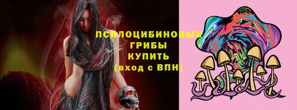 стафф Магадан