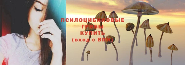мдпв Майский