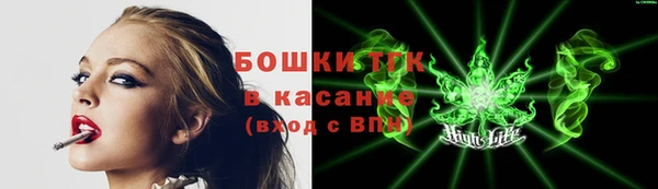стафф Магадан