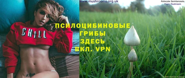 мдпв Майский