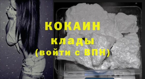 гашик Липки