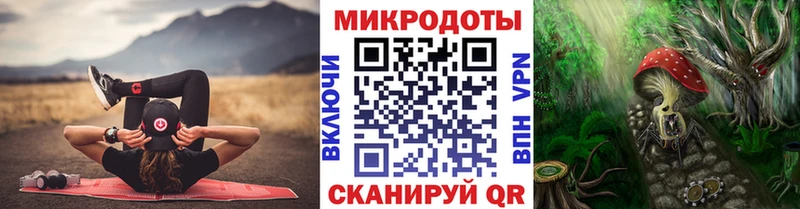 Купить где  Кореновск  Псилоцибиновые грибы GOLDEN TEACHER 